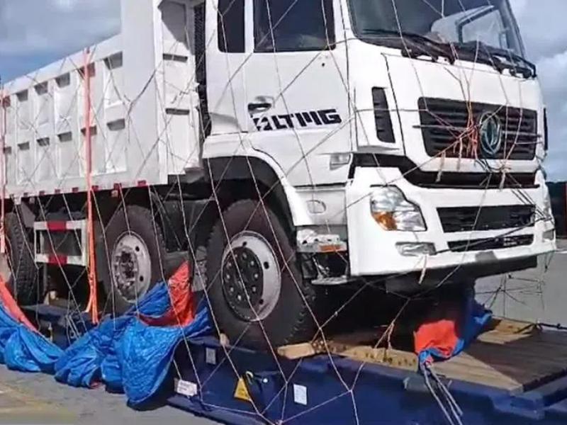 निर्यात मामला: डोमिनिकन ग्राहक को LMDT250 25 टन LTMG डंप ट्रक प्राप्त हुआ