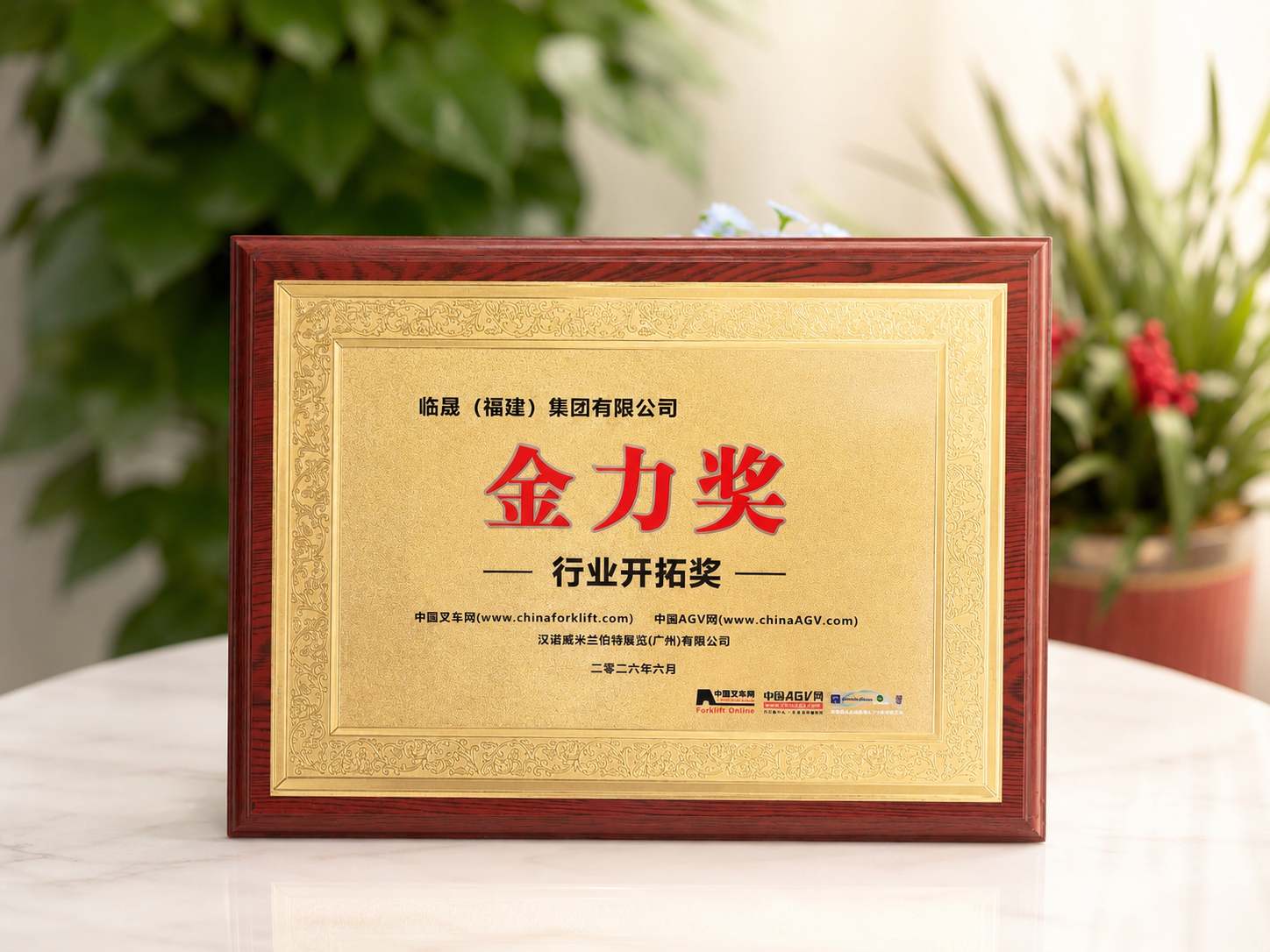 LTMG Award LTMG Award